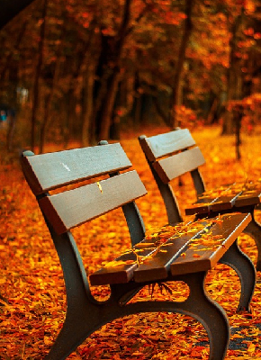 Autumn Collection Color MixPalette